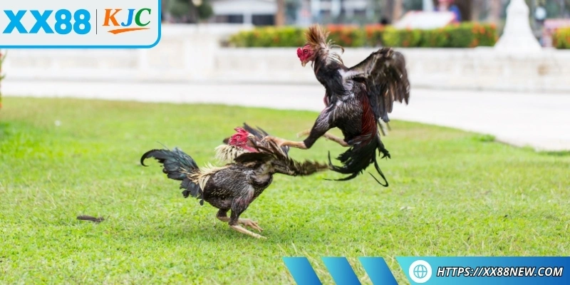 Chia sẻ một vài kinh nghiệm giúp nâng cao tỷ lệ