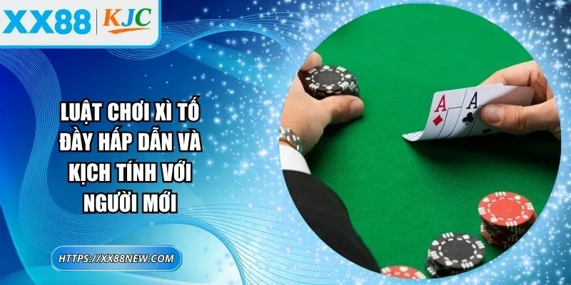 Luật chơi xì tố đầy hấp dẫn và kịch tính với người mới